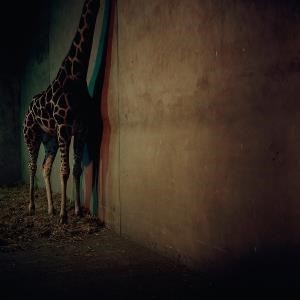 ...       Désolé mais aucune Image n'est disponible pour ce produit