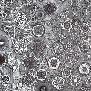 ...       Désolé mais aucune Image n'est disponible pour ce produit