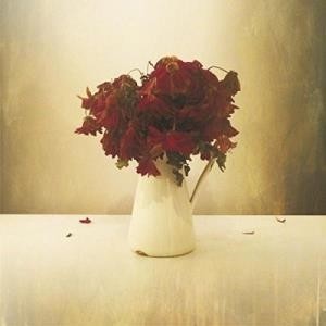 ...       Désolé mais aucune Image n'est disponible pour ce produit