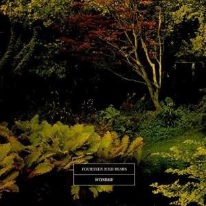 ...       Désolé mais aucune Image n'est disponible pour ce produit