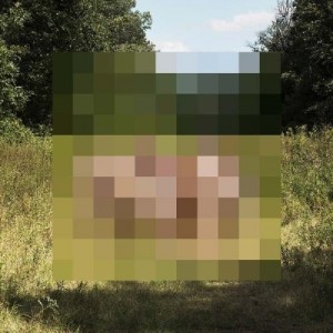 ...       Désolé mais aucune Image n'est disponible pour ce produit