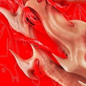 ...       Désolé mais aucune Image n'est disponible pour ce produit