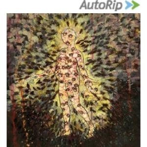 ...       Désolé mais aucune Image n'est disponible pour ce produit