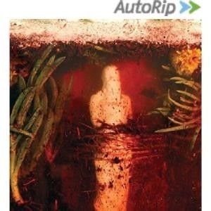 ...       Désolé mais aucune Image n'est disponible pour ce produit