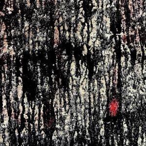 ...       Désolé mais aucune Image n'est disponible pour ce produit