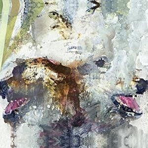 ...       Désolé mais aucune Image n'est disponible pour ce produit