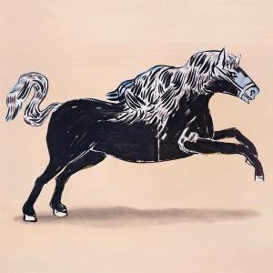 ...       Désolé mais aucune Image n'est disponible pour ce produit