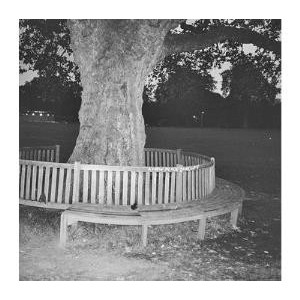 ...       Désolé mais aucune Image n'est disponible pour ce produit