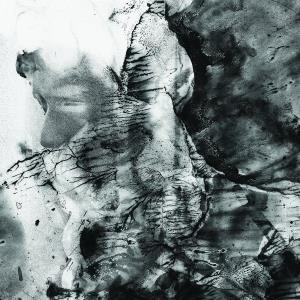 ...       Désolé mais aucune Image n'est disponible pour ce produit