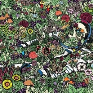 ...       Désolé mais aucune Image n'est disponible pour ce produit