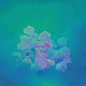 ...       Désolé mais aucune Image n'est disponible pour ce produit