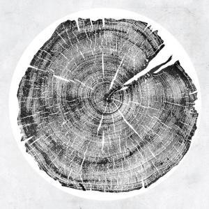 ...       Désolé mais aucune Image n'est disponible pour ce produit