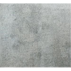 ...       Désolé mais aucune Image n'est disponible pour ce produit