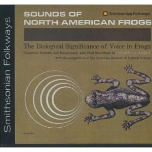 ...       Désolé mais aucune Image n'est disponible pour ce produit