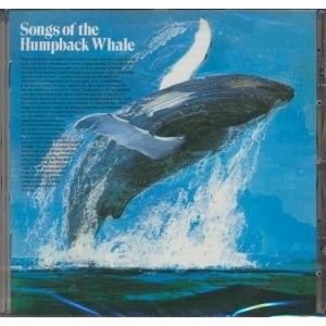 ...       Désolé mais aucune Image n'est disponible pour ce produit