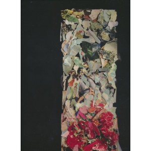 ...       Désolé mais aucune Image n'est disponible pour ce produit