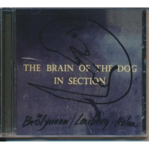 ...       Désolé mais aucune Image n'est disponible pour ce produit