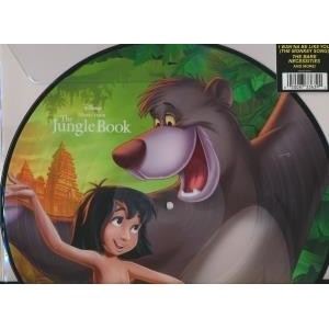 ...       Désolé mais aucune Image n'est disponible pour ce produit