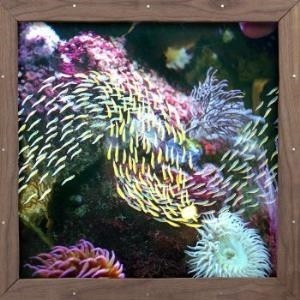 ...       Désolé mais aucune Image n'est disponible pour ce produit