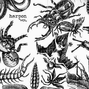 ...       Désolé mais aucune Image n'est disponible pour ce produit