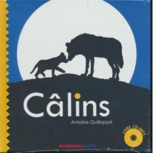 ...       Désolé mais aucune Image n'est disponible pour ce produit