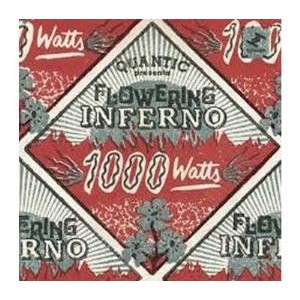 ...       Désolé mais aucune Image n'est disponible pour ce produit