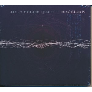 ...       Désolé mais aucune Image n'est disponible pour ce produit