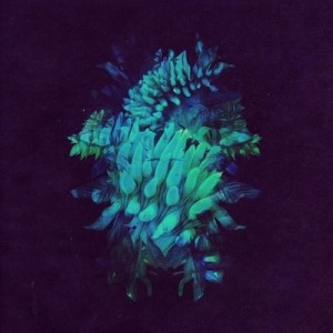 ...       Désolé mais aucune Image n'est disponible pour ce produit