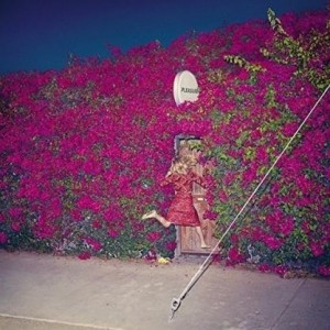 ...       Désolé mais aucune Image n'est disponible pour ce produit