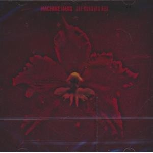 ...       Désolé mais aucune Image n'est disponible pour ce produit