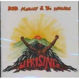 ...       Désolé mais aucune Image n'est disponible pour ce produit