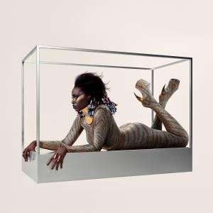 ...       Désolé mais aucune Image n'est disponible pour ce produit