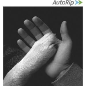 ...       Désolé mais aucune Image n'est disponible pour ce produit
