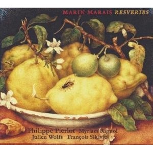 ...       Désolé mais aucune Image n'est disponible pour ce produit