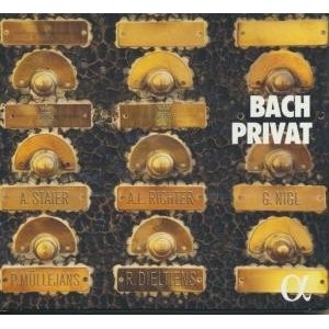 ...       Désolé mais aucune Image n'est disponible pour ce produit