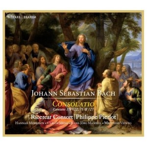 ...       Désolé mais aucune Image n'est disponible pour ce produit