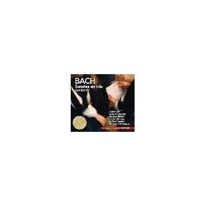 ...       Désolé mais aucune Image n'est disponible pour ce produit